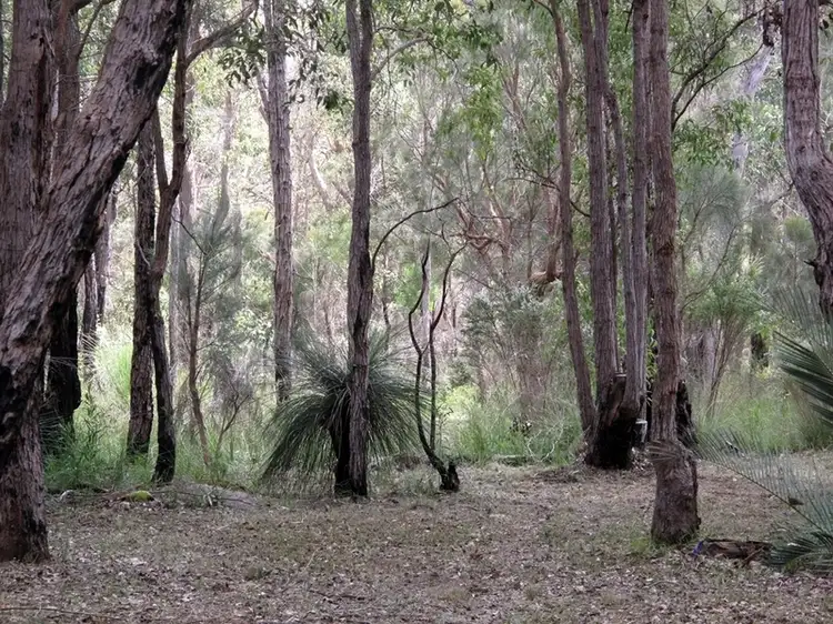 Fourth view of Homely land listing, 14 Blue Wren Lane, Denmark WA 6333