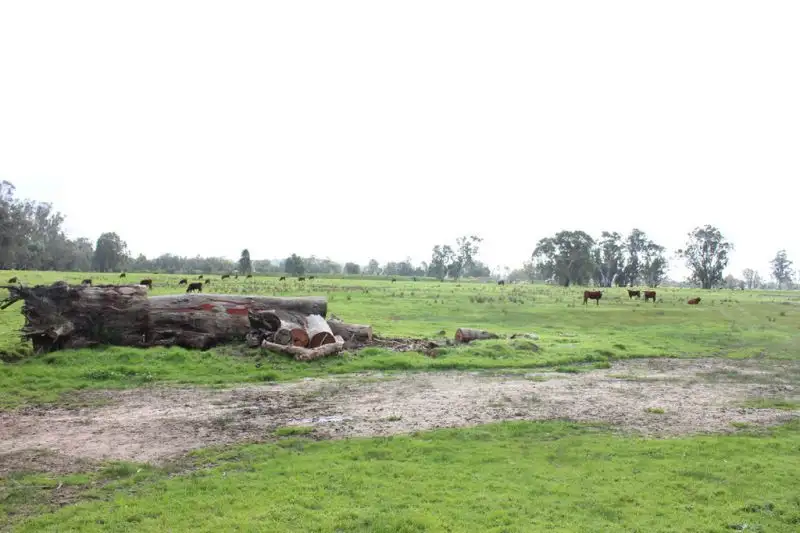 Main view of Homely land listing, 21 Graham Avenue, Gumly Gumly NSW 2652