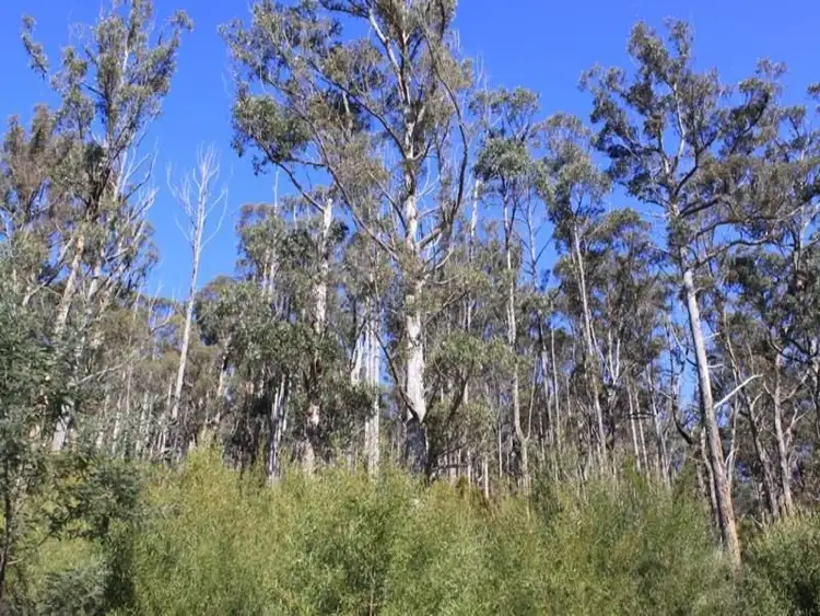 Seventh view of Homely land listing, Lonnavale Road, Lonnavale TAS 7109