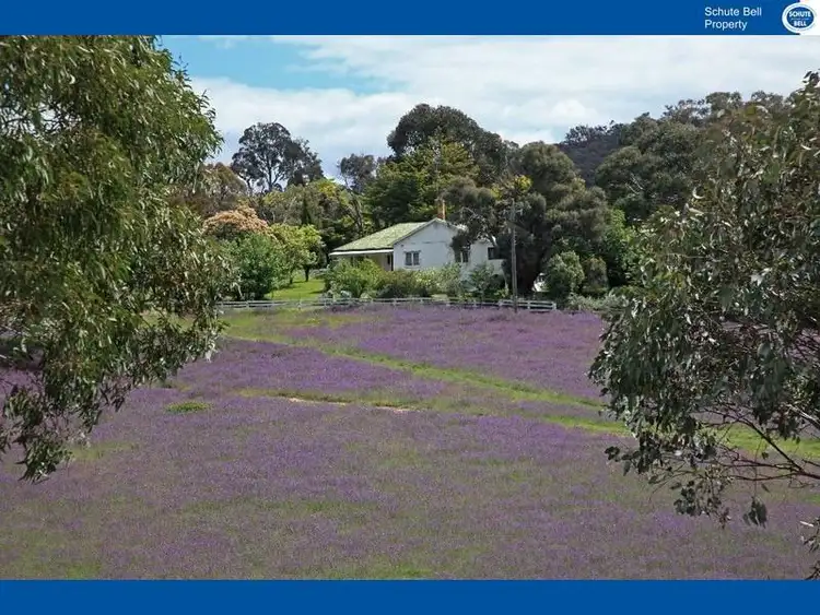 Sixth view of Homely rural property listing, Address available on request