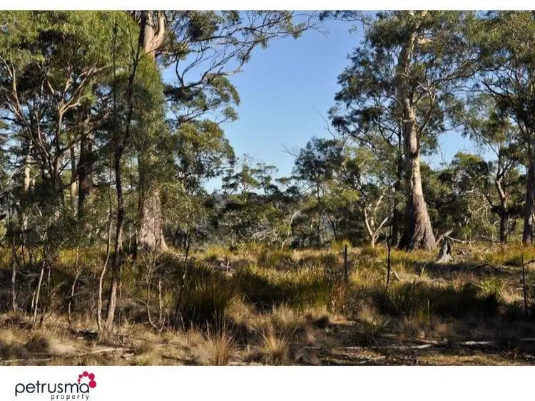 Sixth view of Homely land listing, Wielangta Road, Spring Beach TAS 7190