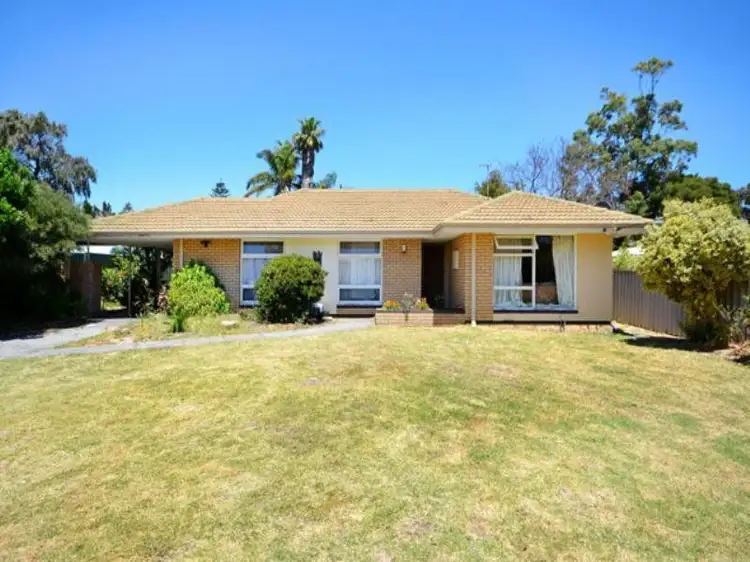 Main view of Homely house listing, 37 Pascoe Street, Karrinyup WA 6018