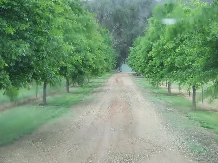 Fourth view of Homely rural property listing, 236 Buffalo Creek Road, Myrtleford VIC 3737