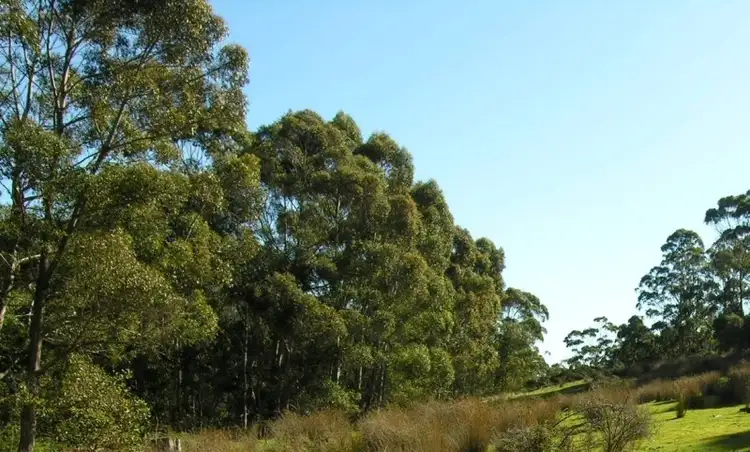 Seventh view of Homely land listing, Pelverata Road, Pelverata TAS 7150