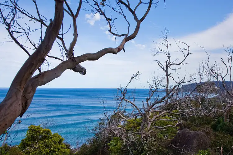 Fourth view of Homely land listing, 63 Morley Avenue, Wye River VIC 3221