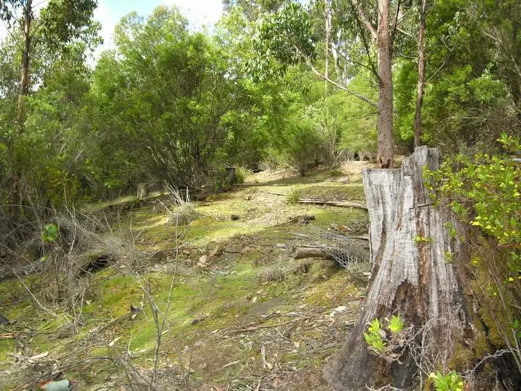 Sixth view of Homely land listing, 692 Bermuda Road, Glen Huon TAS 7109