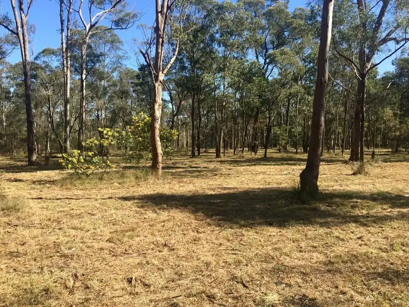 Main view of Homely land listing, 289 Old East Kurrajong Road, East Kurrajong NSW 2758