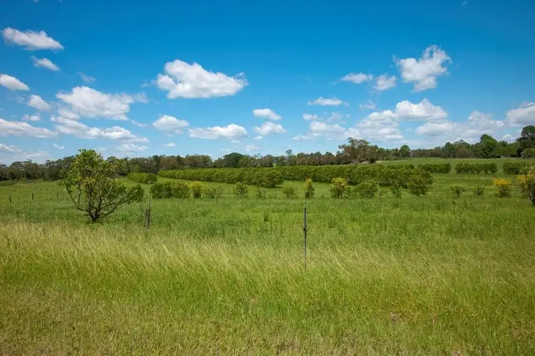 Seventh view of Homely rural property listing, 45 Cooks Rd, Calga NSW 2250