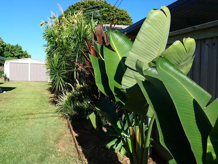 Fifth view of Homely house listing, 20 Lowry Street, Slacks Creek QLD 4127