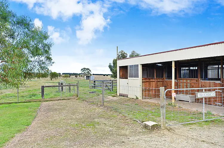 Fourth view of Homely rural property listing, 1395 Cape Otway Road, Modewarre VIC 3240