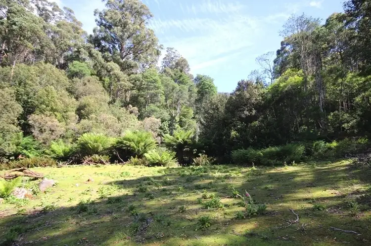 Main view of Homely land listing, Lot 19 Waggs Gully Road, Ranelagh TAS 7109