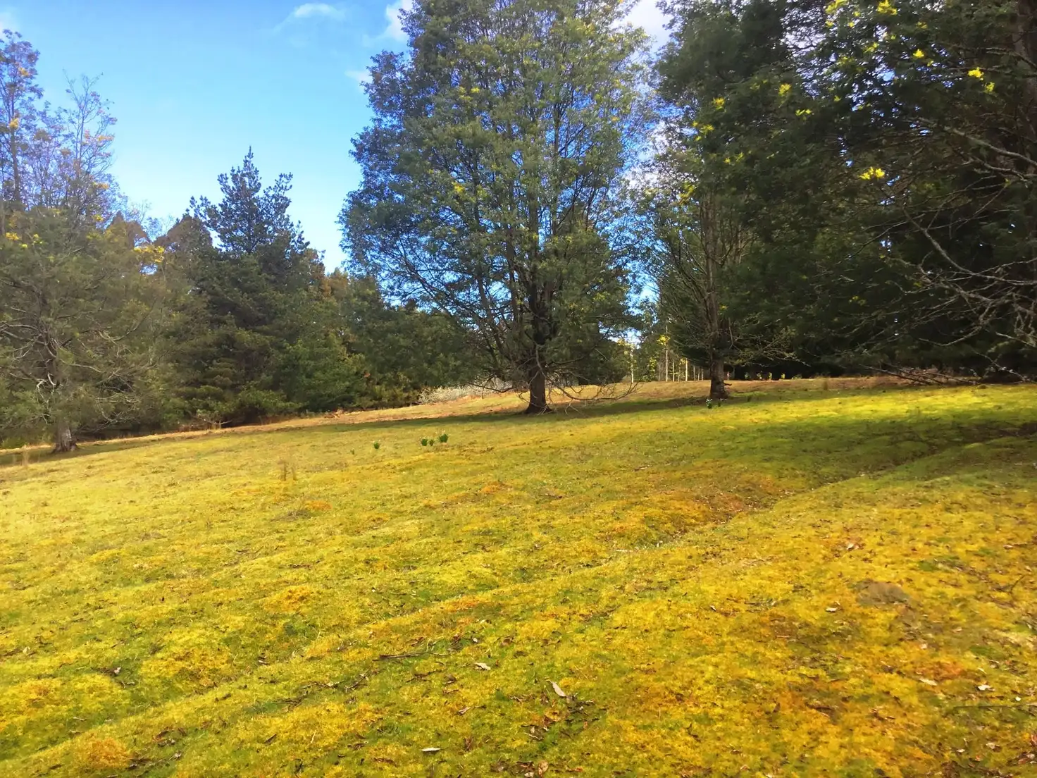 Main view of Homely land listing, Lot 1 Huon Highway, Strathblane TAS 7109
