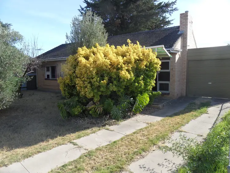 Main view of Homely house listing, 10 Cardigan Avenue, Felixstow SA 5070