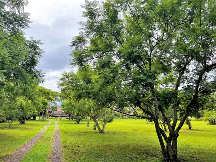 Fourth view of Homely rural property listing, 284 Lagoon Pocket Road, Lagoon Pocket QLD 4570