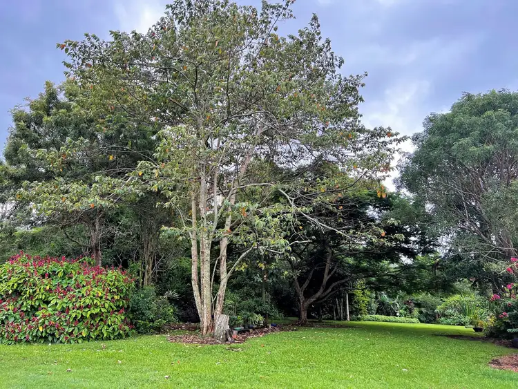 Sixth view of Homely rural property listing, 284 Lagoon Pocket Road, Lagoon Pocket QLD 4570