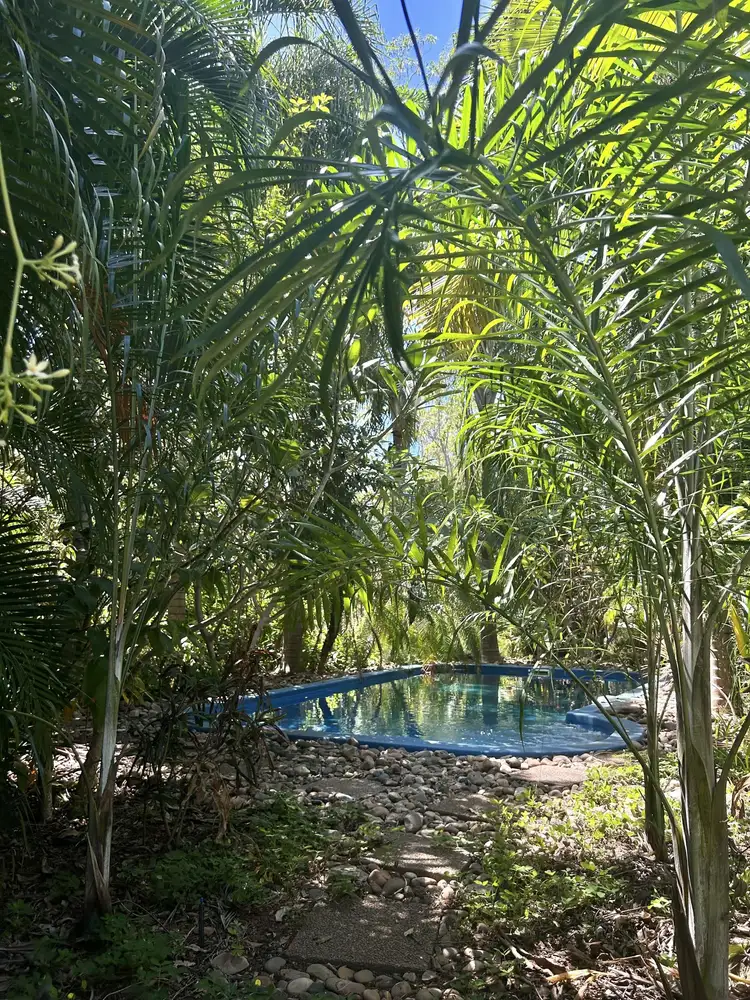 Second view of Homely rural property listing, 1021 Goode Road, Humpty Doo NT 836