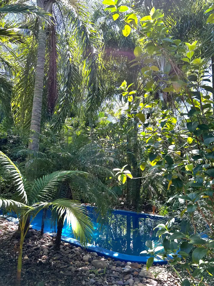Third view of Homely rural property listing, 1021 Goode Road, Humpty Doo NT 836