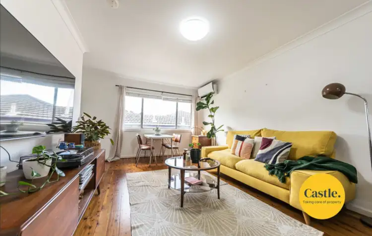 3/521 Maitland Rd