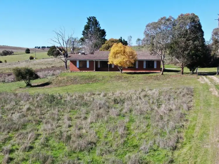 Second view of Homely rural property listing, 429 White Rock Road, White Rock NSW 2795