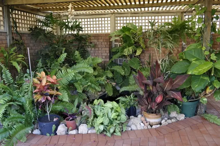 Fifth view of Homely house listing, 28 Capewell Drive, Denham WA 6537