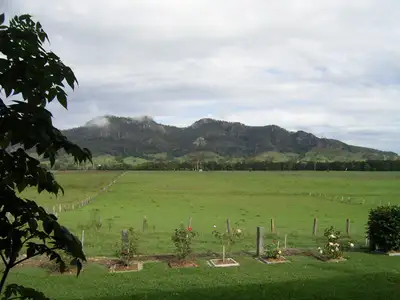 Main view of Homely rural property listing, 209 Church Street, Gloucester NSW 2422