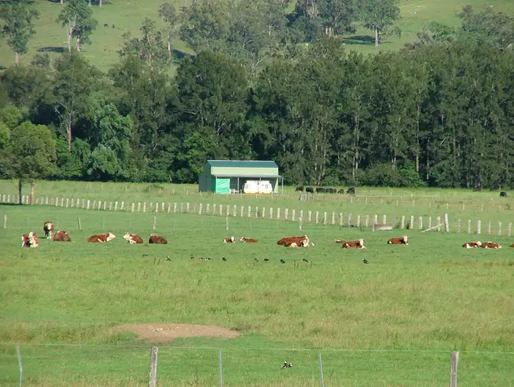Seventh view of Homely rural property listing, 209 Church Street, Gloucester NSW 2422