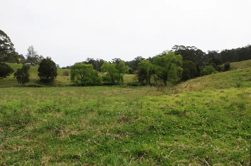 Main view of Homely rural property listing, 2250 Waukivory Road, Waukivory NSW 2422