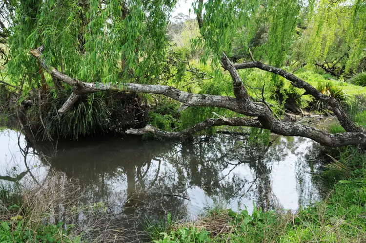 Third view of Homely rural property listing, 2250 Waukivory Road, Waukivory NSW 2422