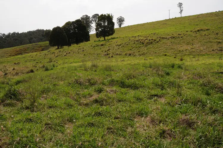 Sixth view of Homely rural property listing, 2250 Waukivory Road, Waukivory NSW 2422