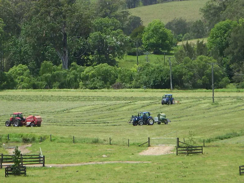 Main view of Homely rural property listing, 1110 Barrington West Road, Barrington NSW 2422