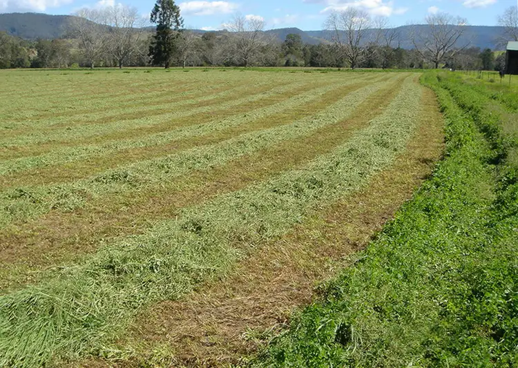 Fourth view of Homely rural property listing, 1110 Barrington West Road, Barrington NSW 2422