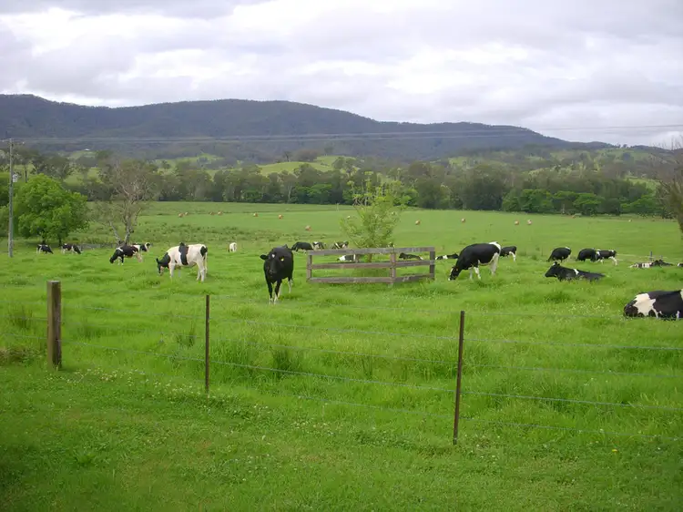 Seventh view of Homely rural property listing, 1110 Barrington West Road, Barrington NSW 2422