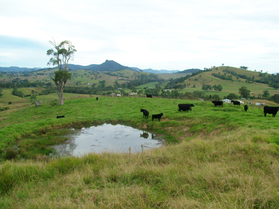 Main view of Homely rural property listing, 431 Kiaora Road, Gloucester NSW 2422