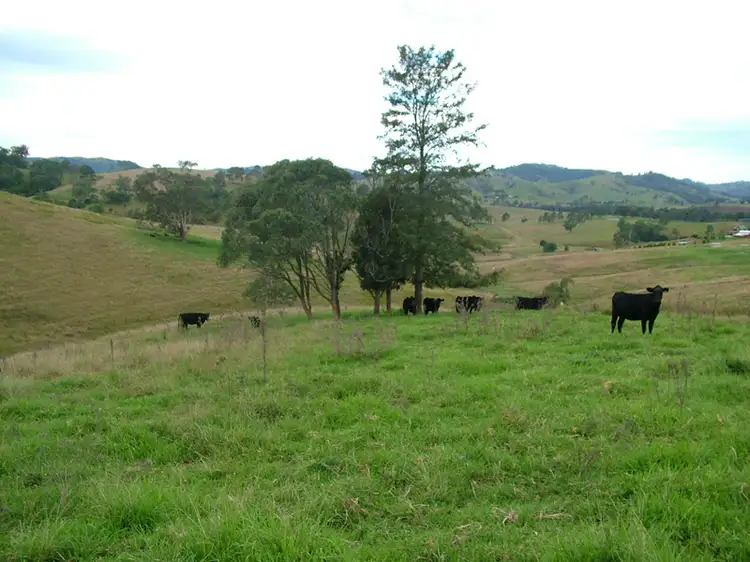 Fifth view of Homely rural property listing, 431 Kiaora Road, Gloucester NSW 2422