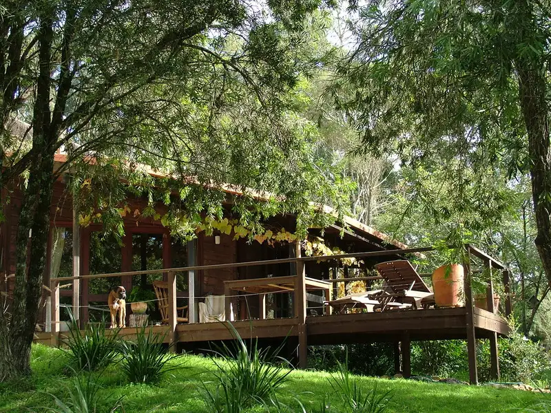 Main view of Homely house listing, 647 Bowman River Road, Gloucester NSW 2422