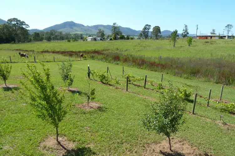 Fourth view of Homely house listing, 12 Mahogany Drive, Gloucester NSW 2422