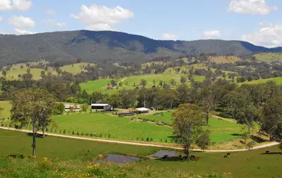Main view of Homely rural property listing, 21 Westleys Road, Barrington NSW 2422