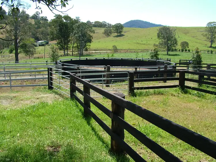Seventh view of Homely rural property listing, 21 Westleys Road, Barrington NSW 2422