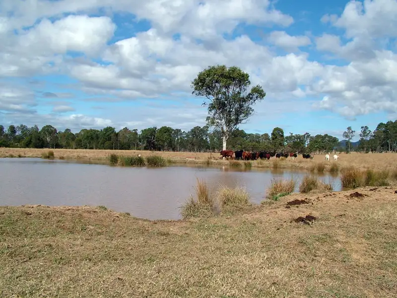 Main view of Homely rural property listing, 171 Upper Avon Road, Gloucester NSW 2422