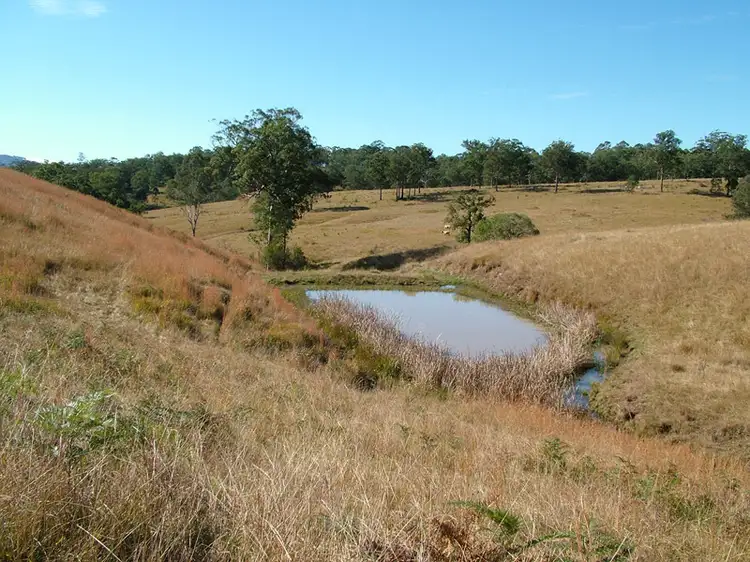 Sixth view of Homely rural property listing, 1053 Thunderbolts Way, Barrington NSW 2422