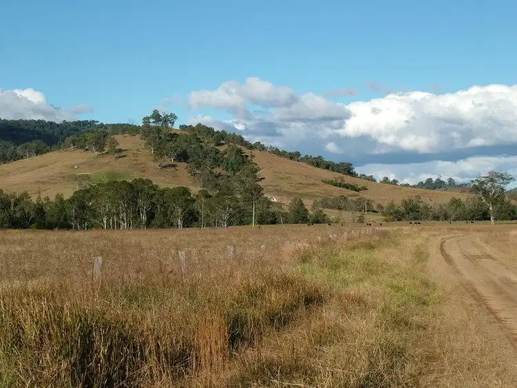 Second view of Homely rural property listing, LOT 1 Bowman River Road, Bowman Farm NSW 2422