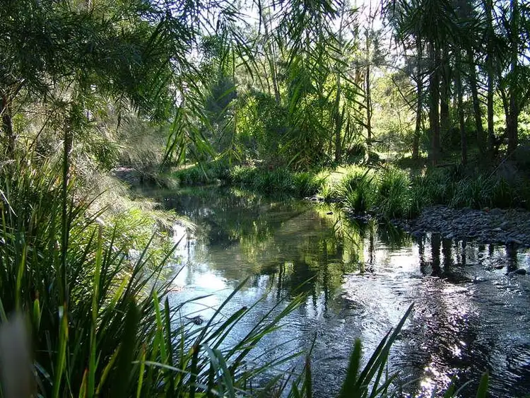 Third view of Homely rural property listing, LOT 1 Bowman River Road, Bowman Farm NSW 2422
