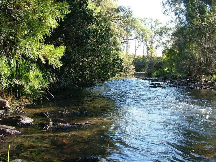 Fifth view of Homely rural property listing, LOT 1 Bowman River Road, Bowman Farm NSW 2422