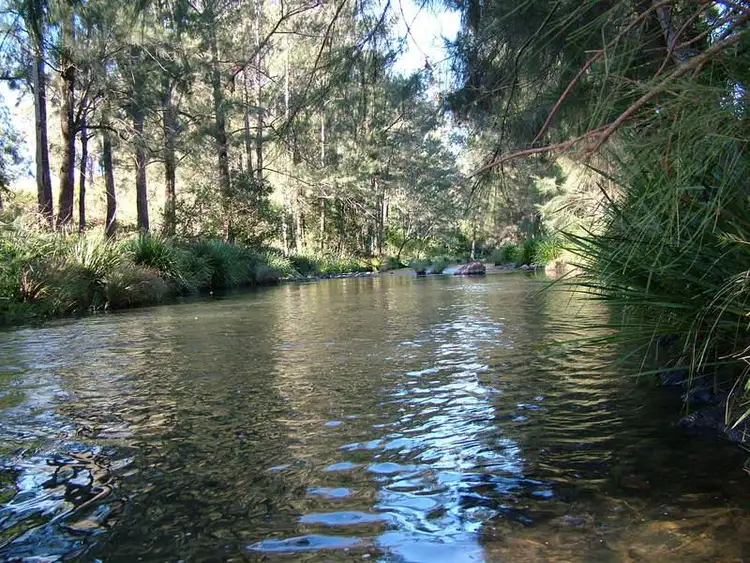 Sixth view of Homely rural property listing, LOT 1 Bowman River Road, Bowman Farm NSW 2422
