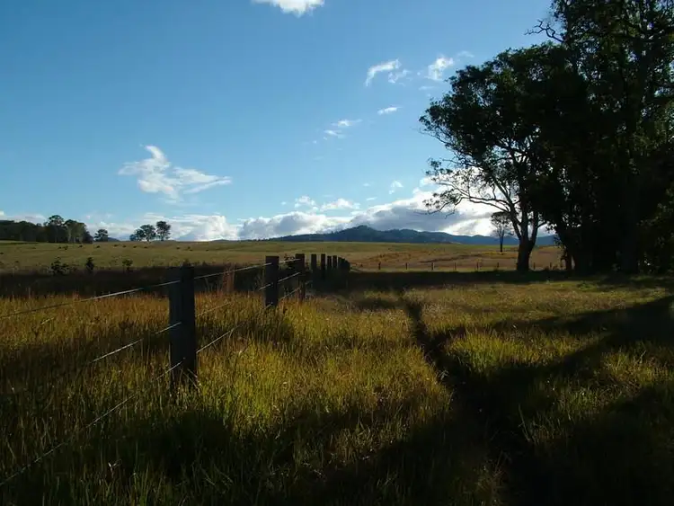 Seventh view of Homely rural property listing, LOT 1 Bowman River Road, Bowman Farm NSW 2422