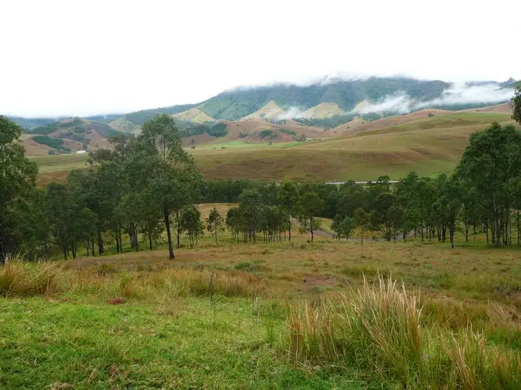 Main view of Homely rural property listing, 3756 Thunderbolts Way, Bretti NSW 2422
