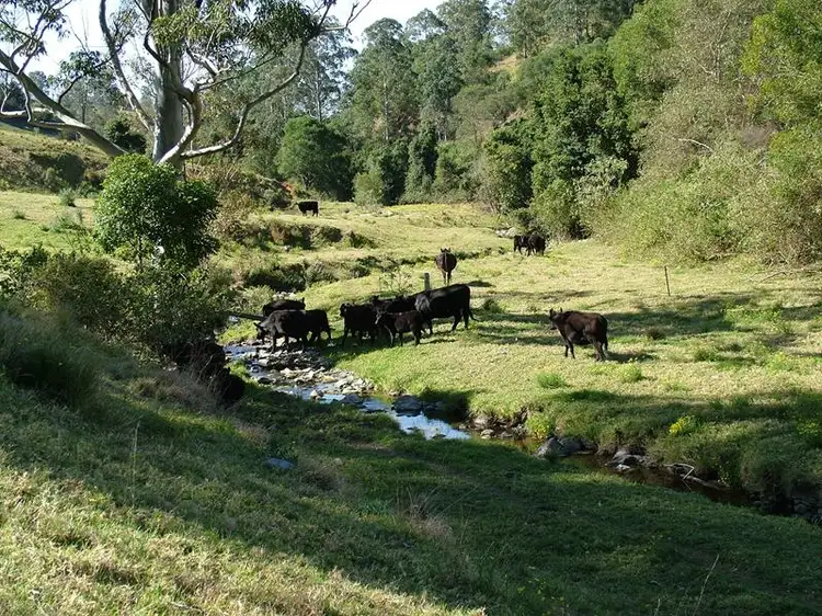 Third view of Homely rural property listing, 590 Scone Road, Copeland NSW 2422