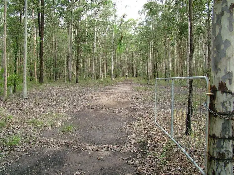 Fourth view of Homely rural property listing, - WOODS Road, Craven NSW 2422