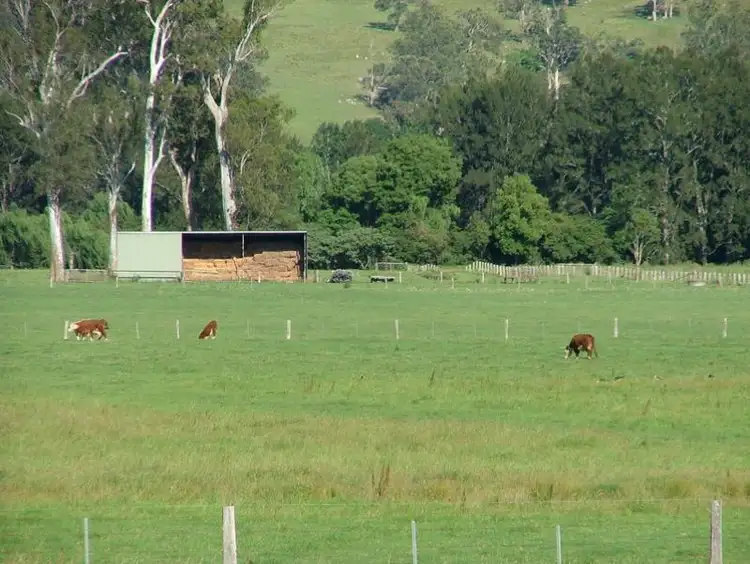 Fourth view of Homely rural property listing, 209 CHURCH Street, Gloucester NSW 2422