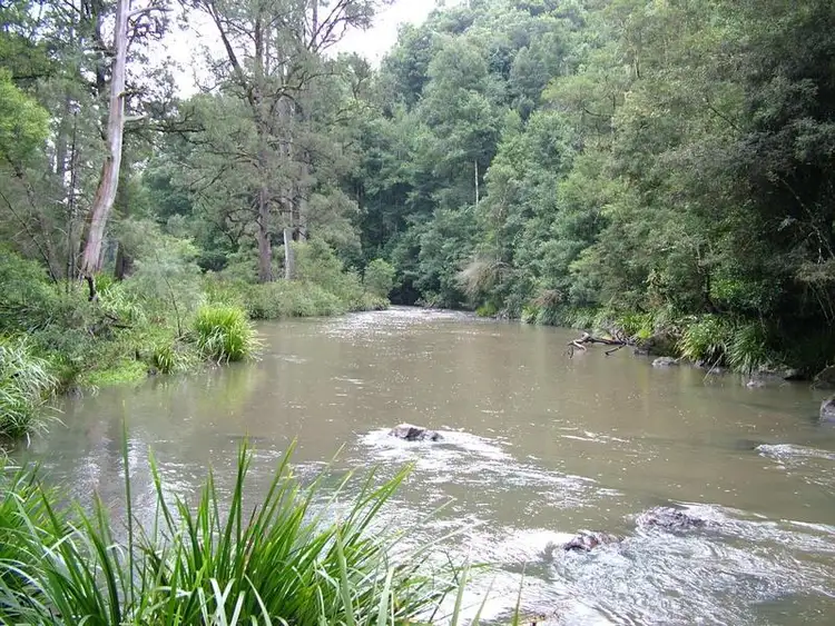 Third view of Homely rural property listing, - DODDS  Road, Nowendoc NSW 2354